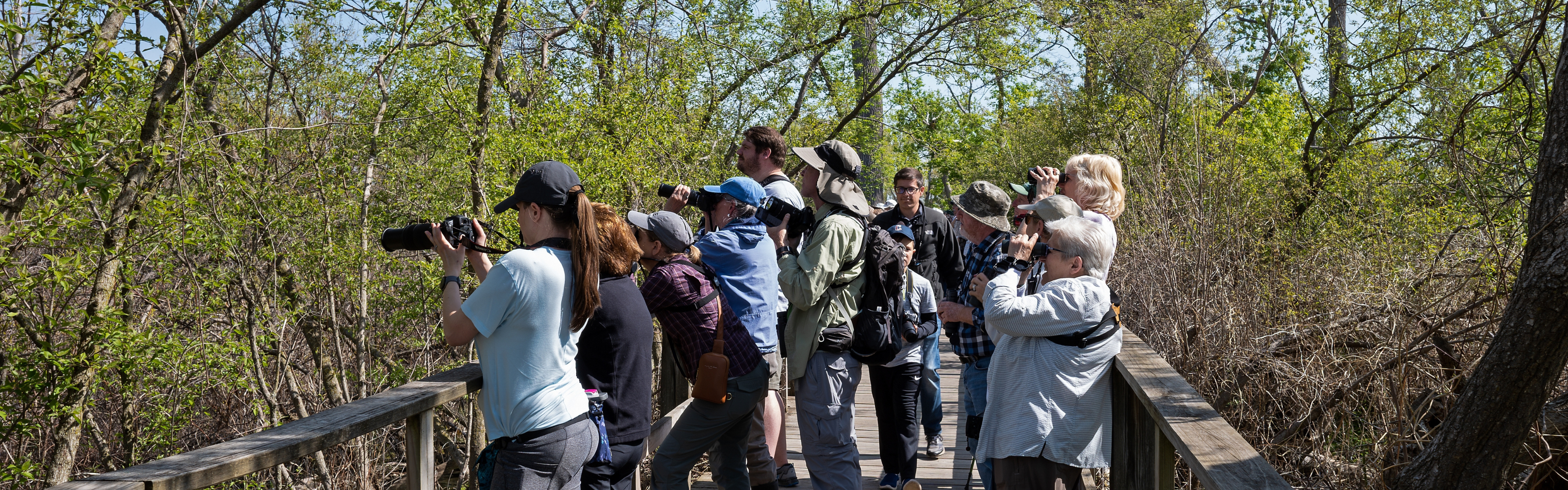 commercial-activity-permit-nc-wildlife